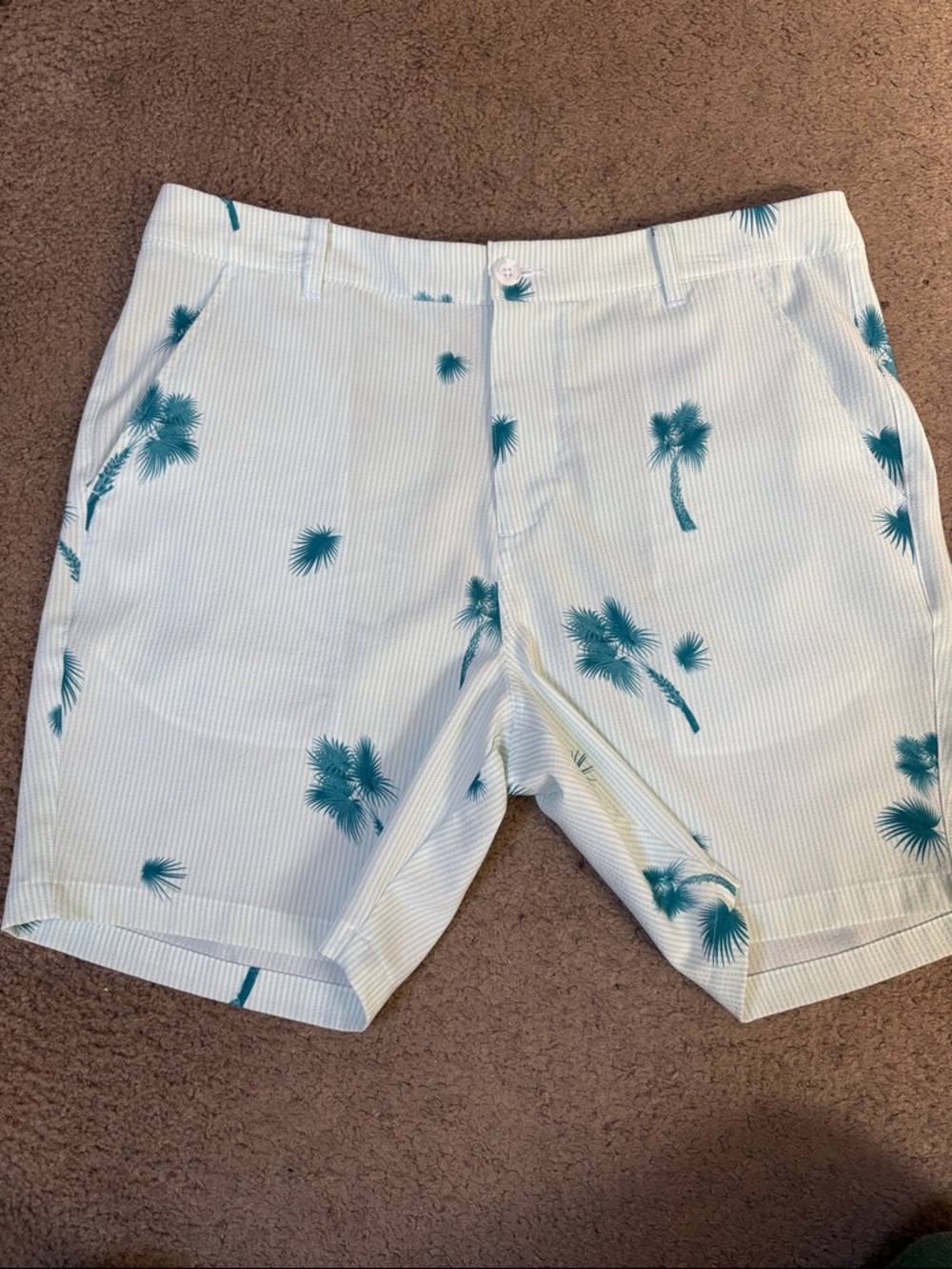 Puma Men’s White Shorts with Teal Palm Print